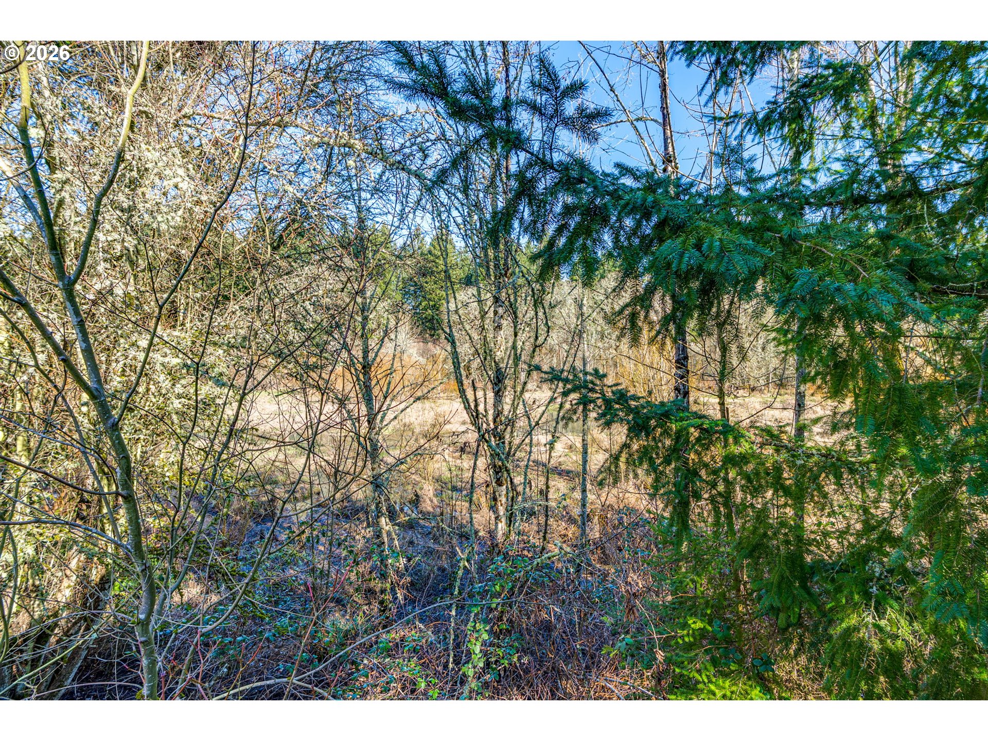 16015 Southwest Audubon Street, Unit 101 Beaverton, OR 97003 - Photo 41 of 46