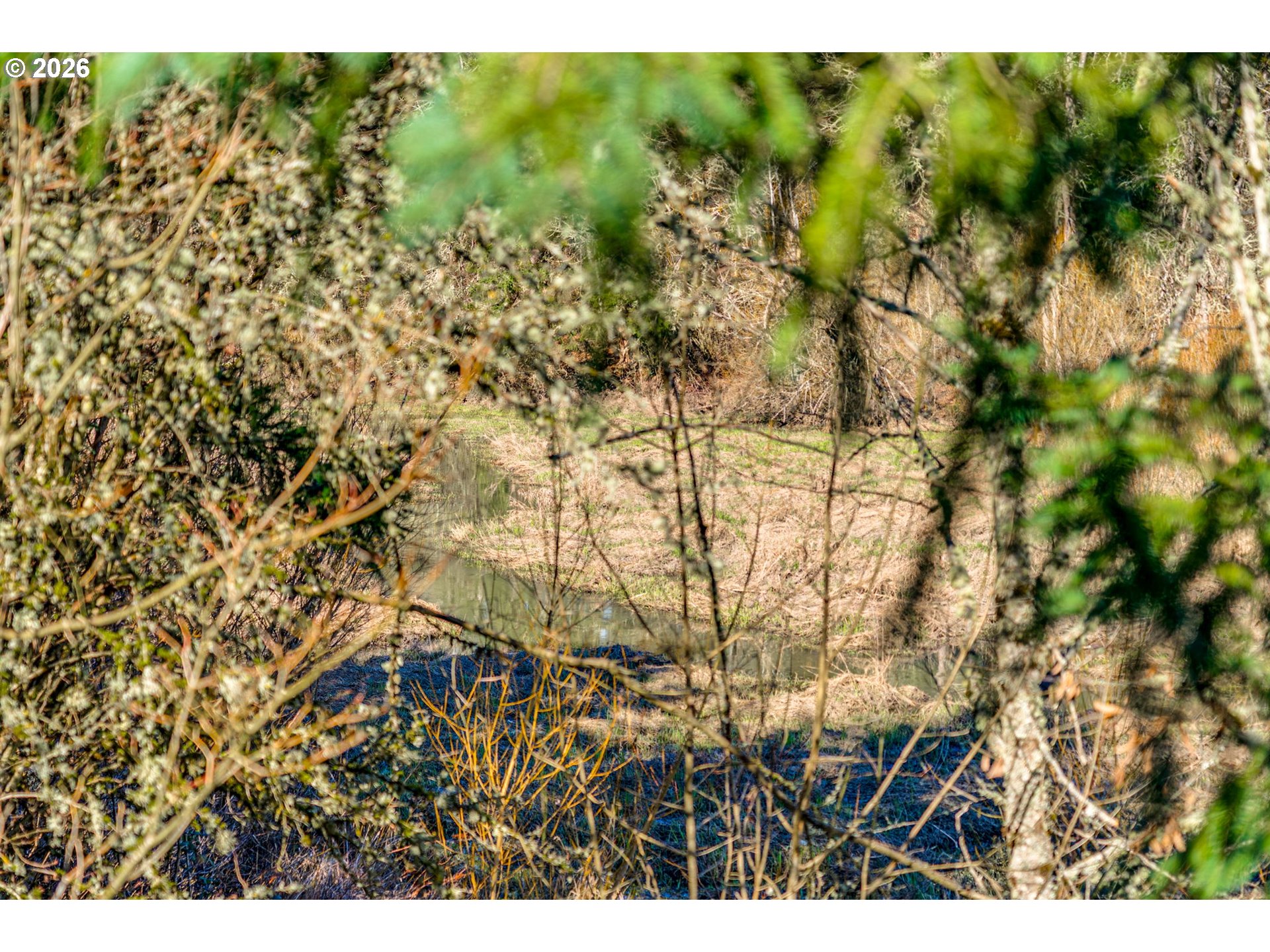 16015 Southwest Audubon Street, Unit 101 Beaverton, OR 97003 - Photo 42 of 46