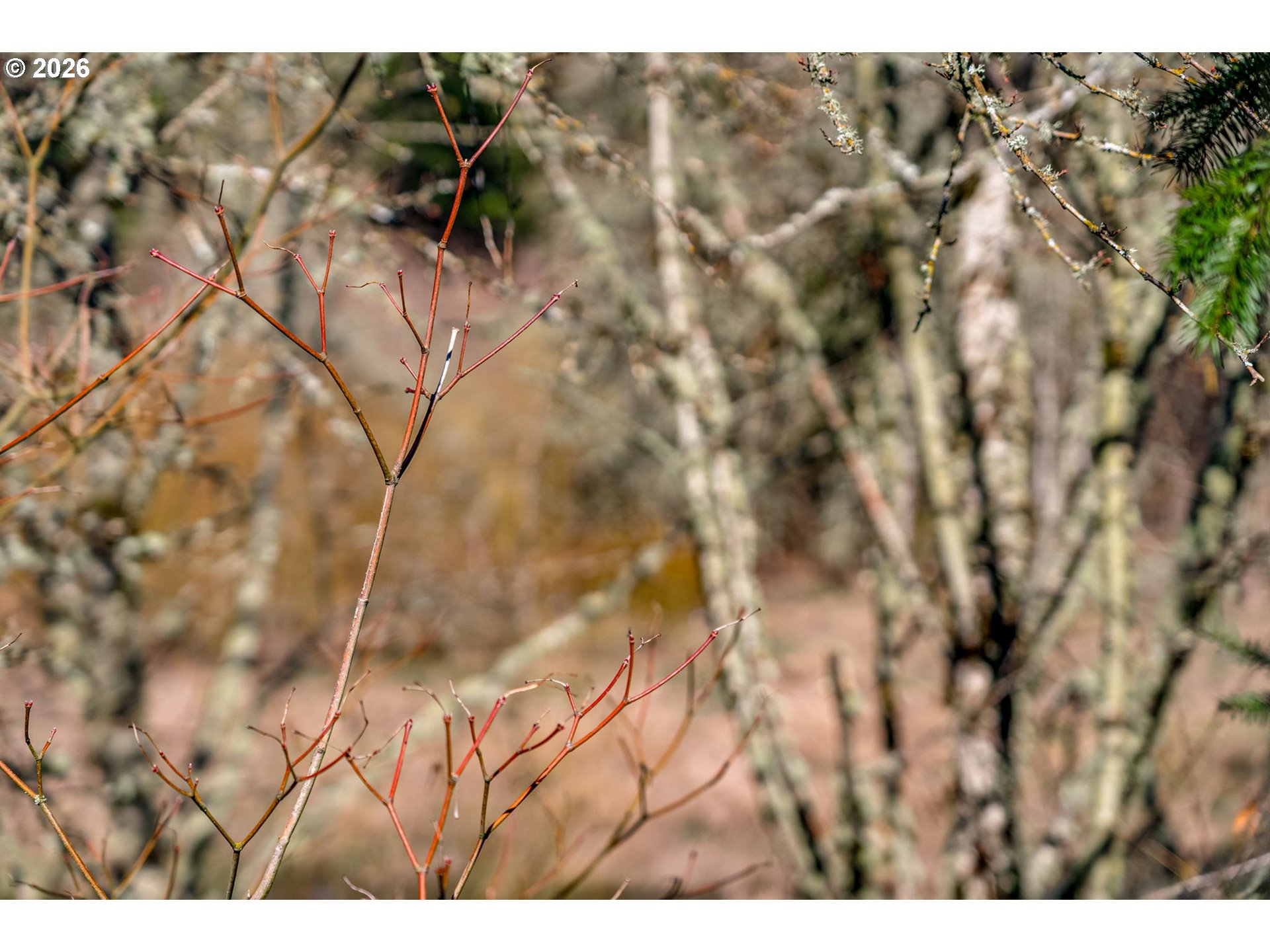 16015 Southwest Audubon Street, Unit 101 Beaverton, OR 97003 - Photo 43 of 46