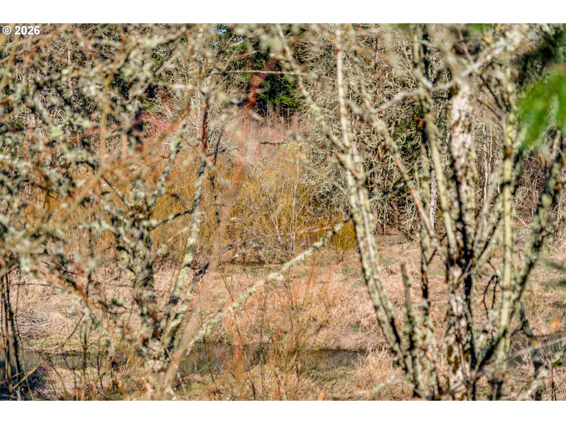 16015 Southwest Audubon Street, Unit 101 Beaverton, OR 97003 - Photo 44 of 46