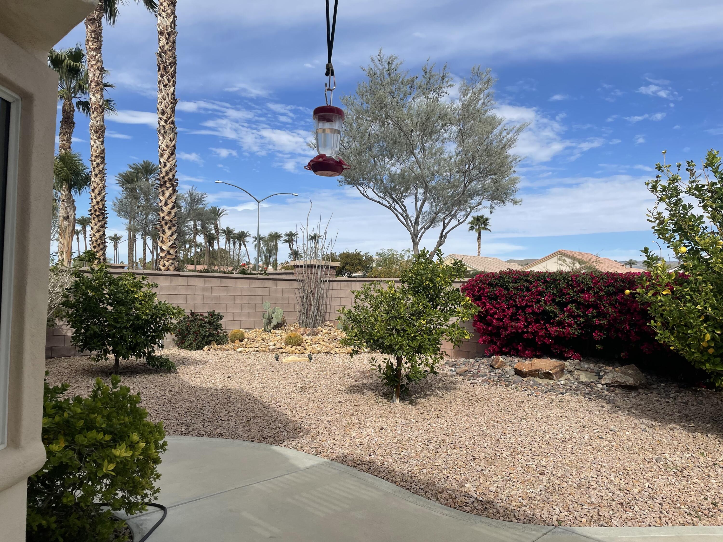 78212 Vinewood Drive Palm Desert, CA 92211 - Photo 13 of 15 a row of potted plants sitting in front of a house