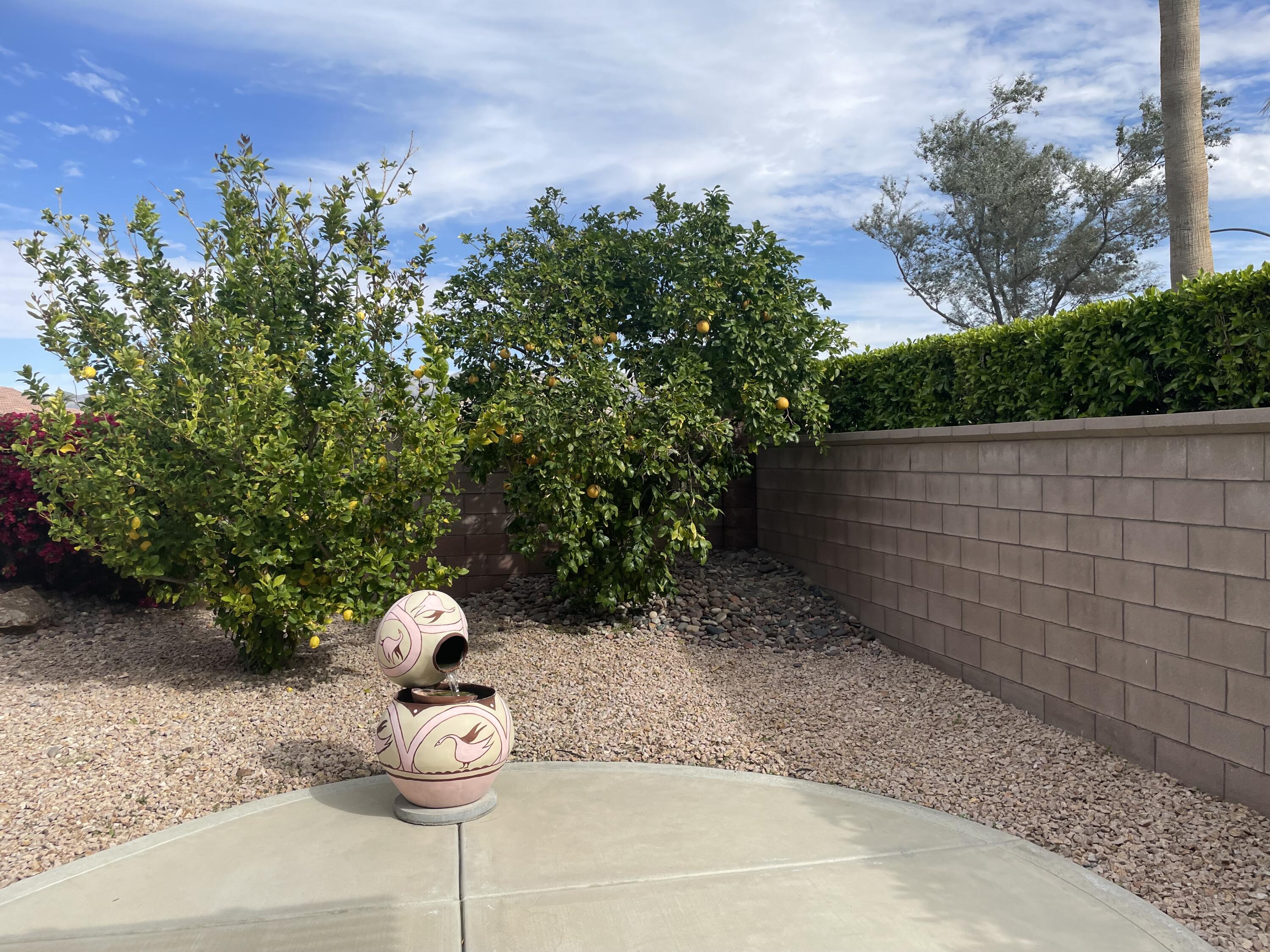 78212 Vinewood Drive Palm Desert, CA 92211 - Photo 14 of 15 a backyard of a house with lots of green space