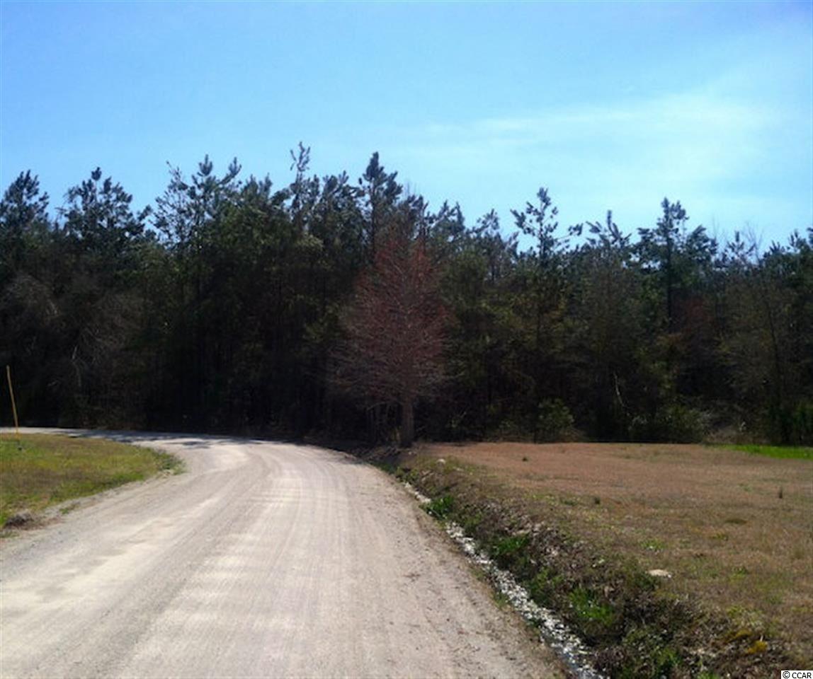 25-acres Cooper-Collins Road Aynor, SC 29511 - Photo 2 of 15 Gallery Image 2