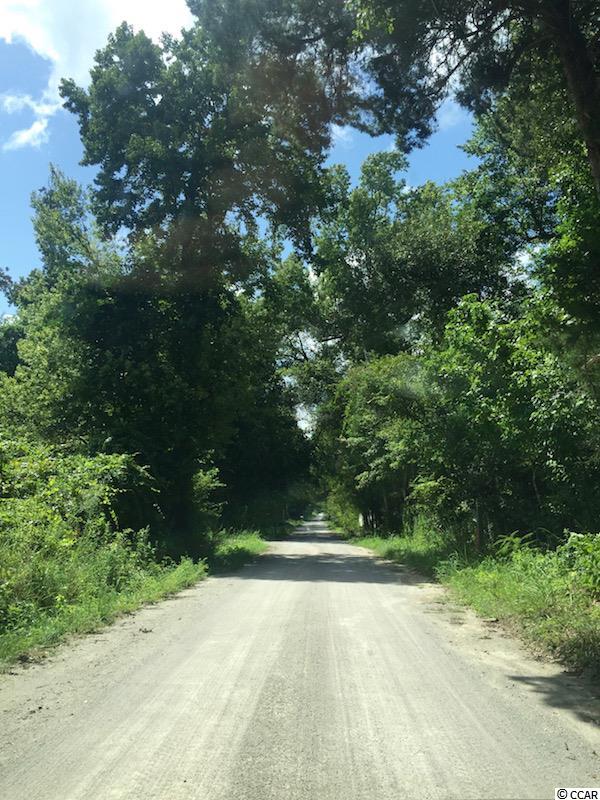 25-acres Cooper-Collins Road Aynor, SC 29511 - Photo 11 of 15 Gallery Image 11