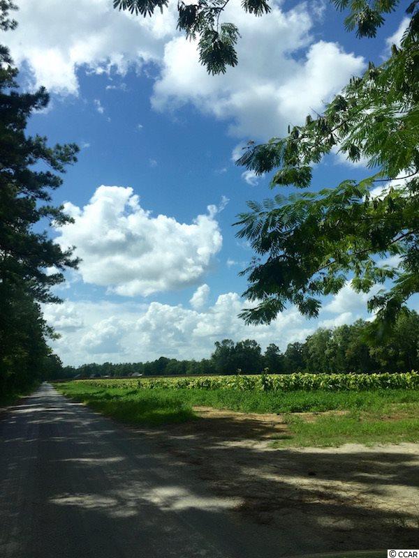 25-acres Cooper-Collins Road Aynor, SC 29511 - Photo 12 of 15 Gallery Image 12