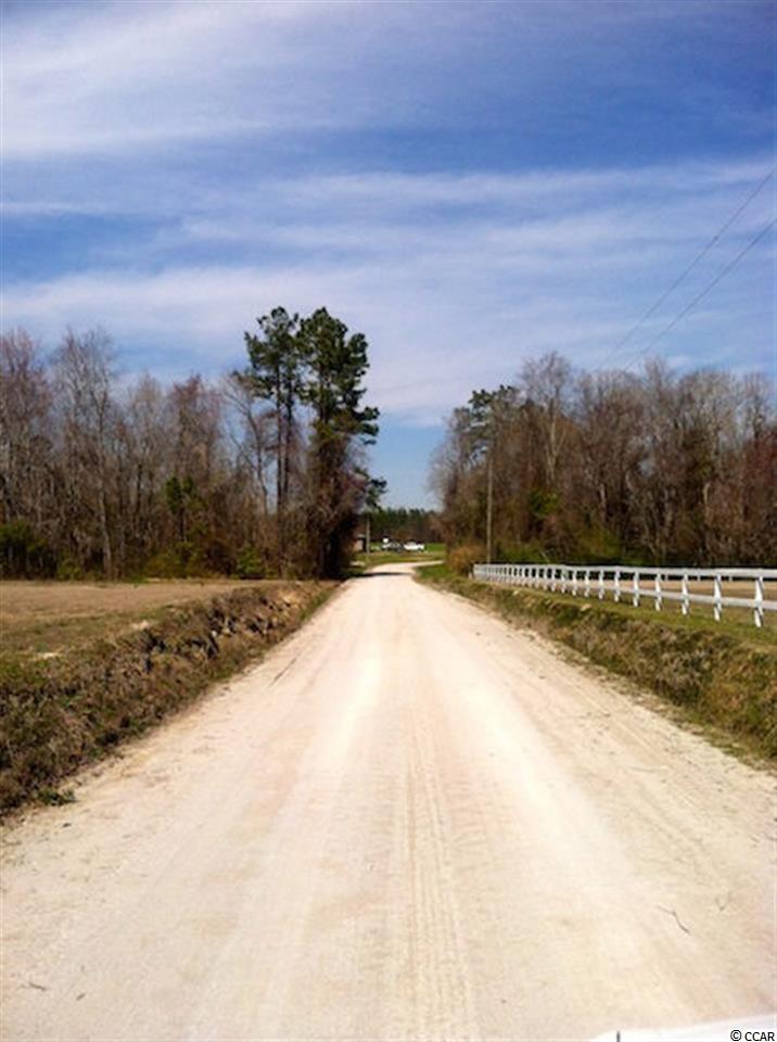 25-acres Cooper-Collins Road Aynor, SC 29511 - Photo 3 of 15 Gallery Image 3
