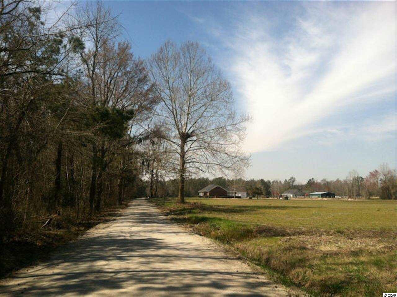25-acres Cooper-Collins Road Aynor, SC 29511 - Photo 4 of 15 Gallery Image 4