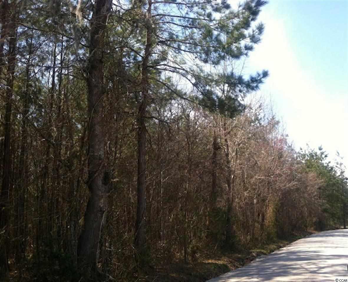 25-acres Cooper-Collins Road Aynor, SC 29511 - Photo 5 of 15 Gallery Image 5