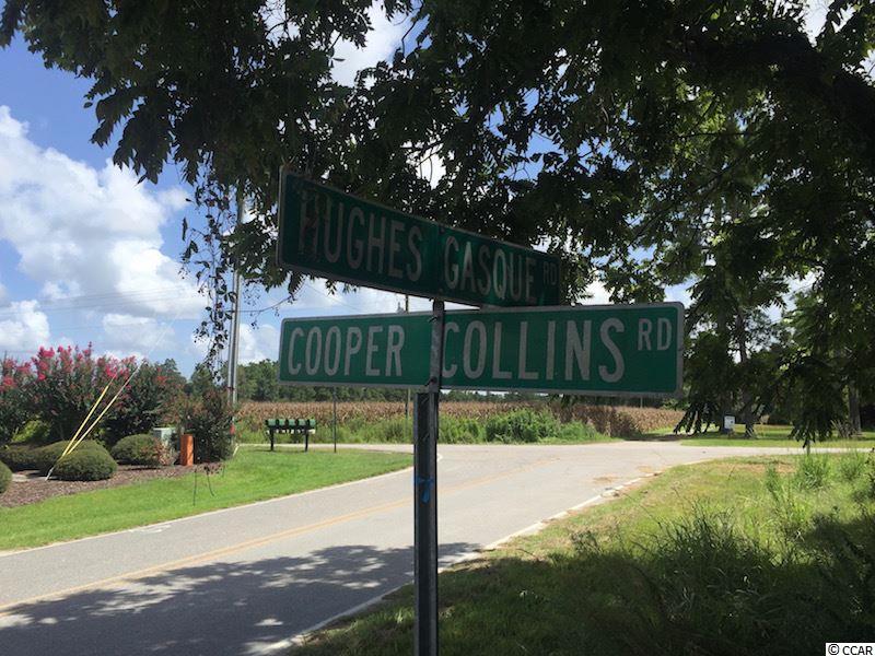 25-acres Cooper-Collins Road Aynor, SC 29511 - Photo 10 of 15 Gallery Image 10