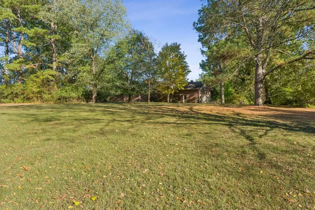 a view of outdoor space with trees all around