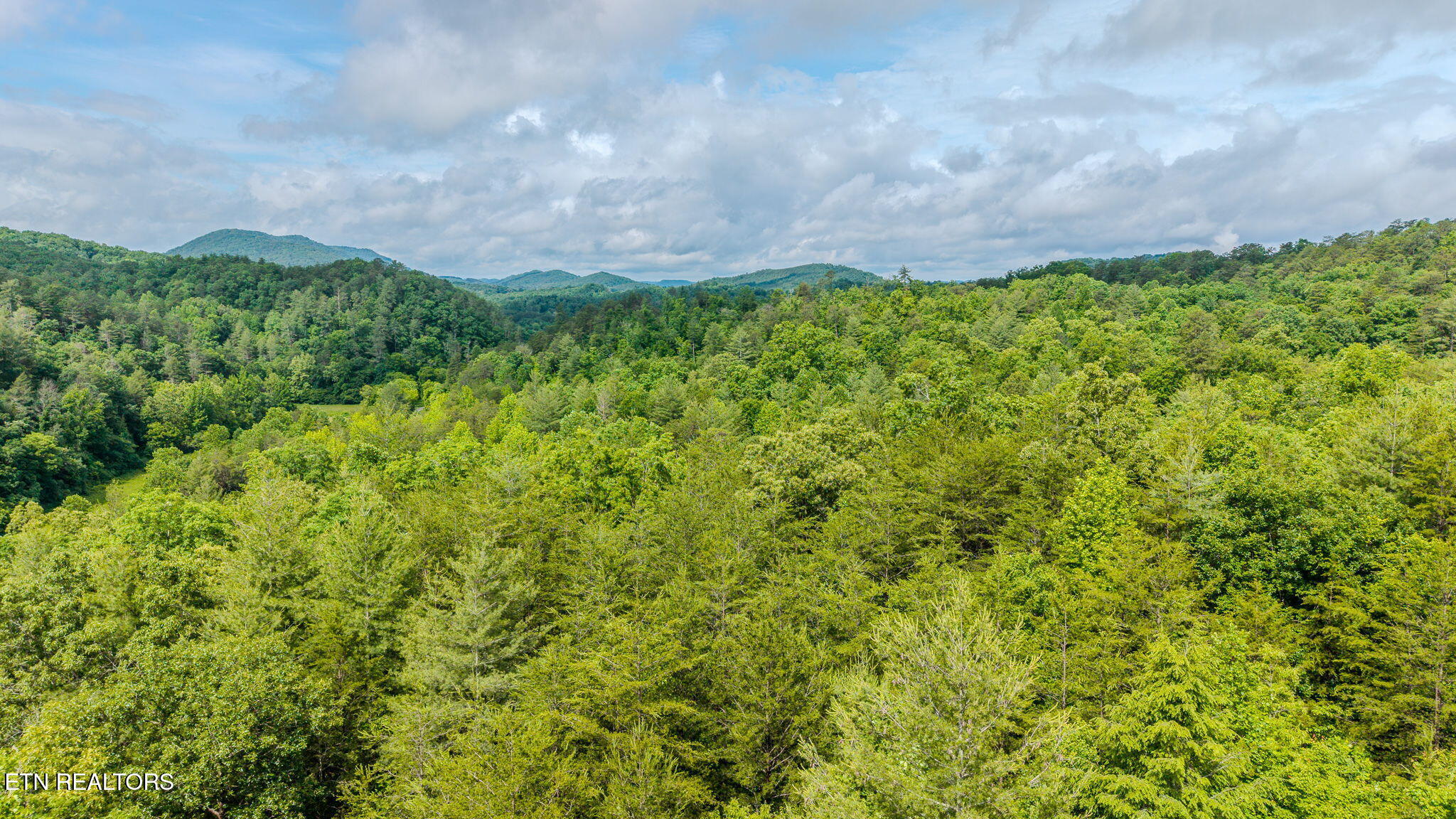 611 Antioch Church Road Vonore, TN 37885 - Photo 37 of 37 37-web-or-mls-DJI_20260525105927_0282_D