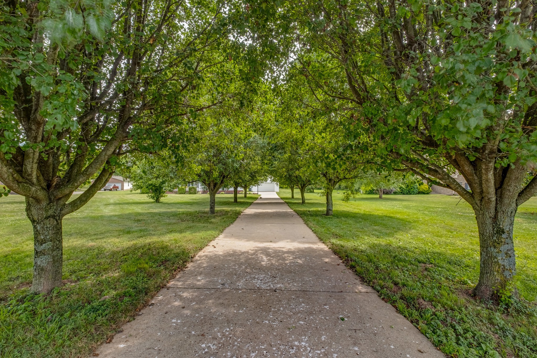 1043 Emerald Way Castalian Springs, TN 37031 - Photo 6 of 45
