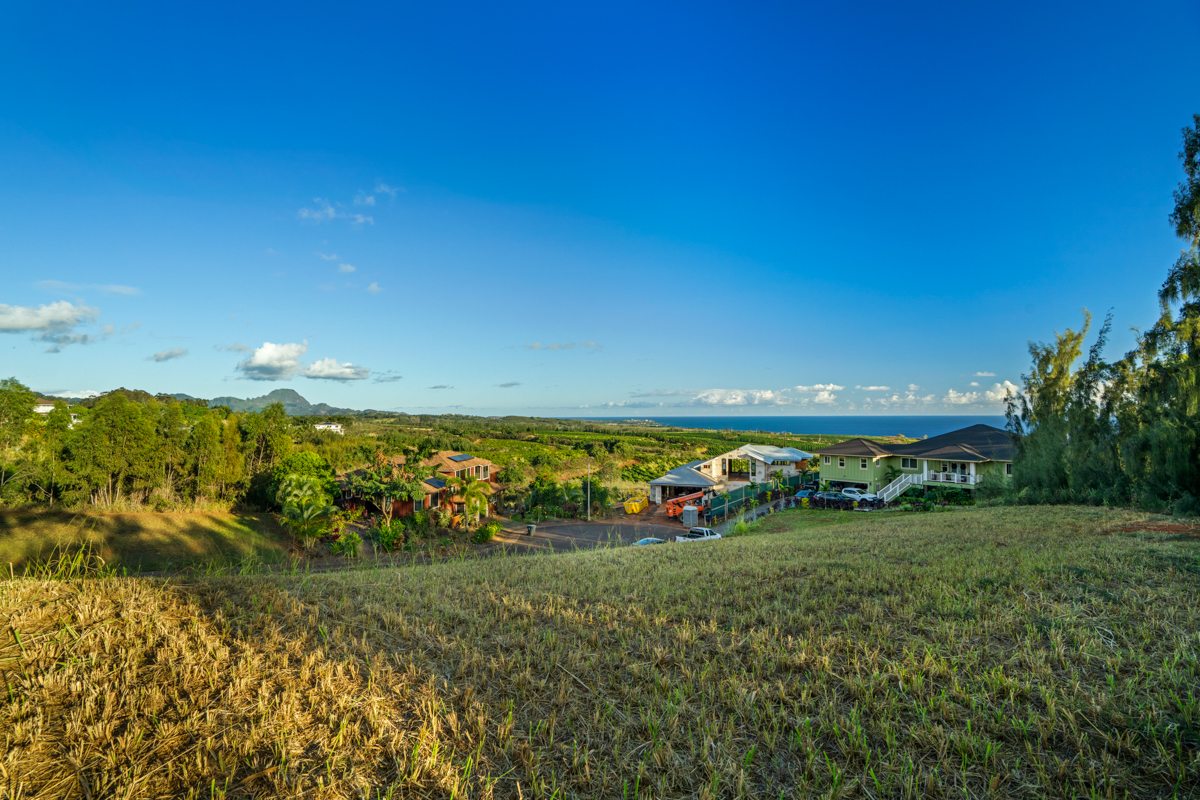 38 Kua'ainā Street Kalaheo, HI 96741 - Photo 3 of 18 a view of yard with green space