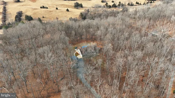 a view of a dry yard