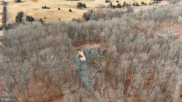 a view of a dry yard
