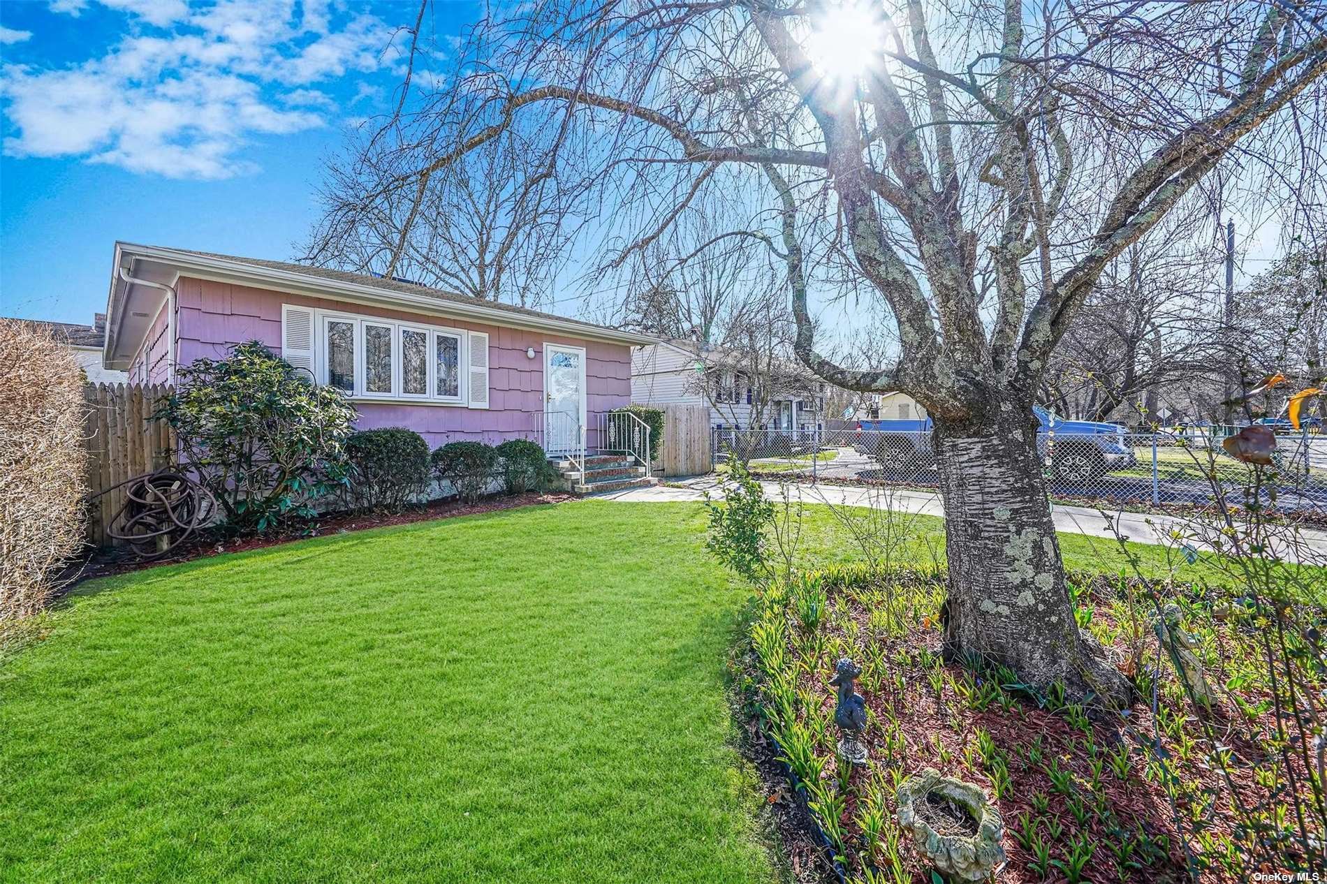 a view of a yard in front of house