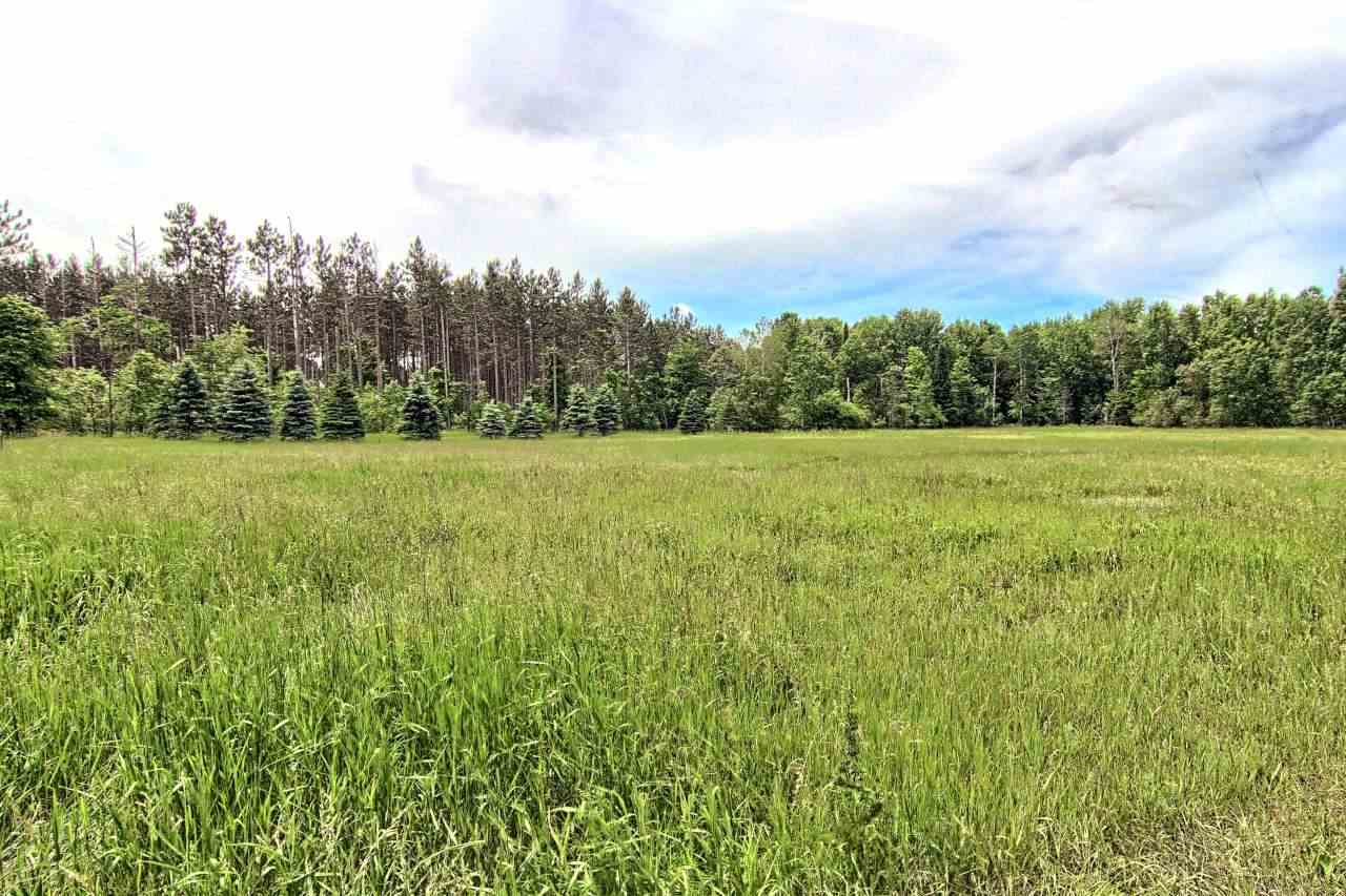 3702 Nostwick Road Thompsonville, MI 49683 - Photo 39 of 41 1844468-38.JPG