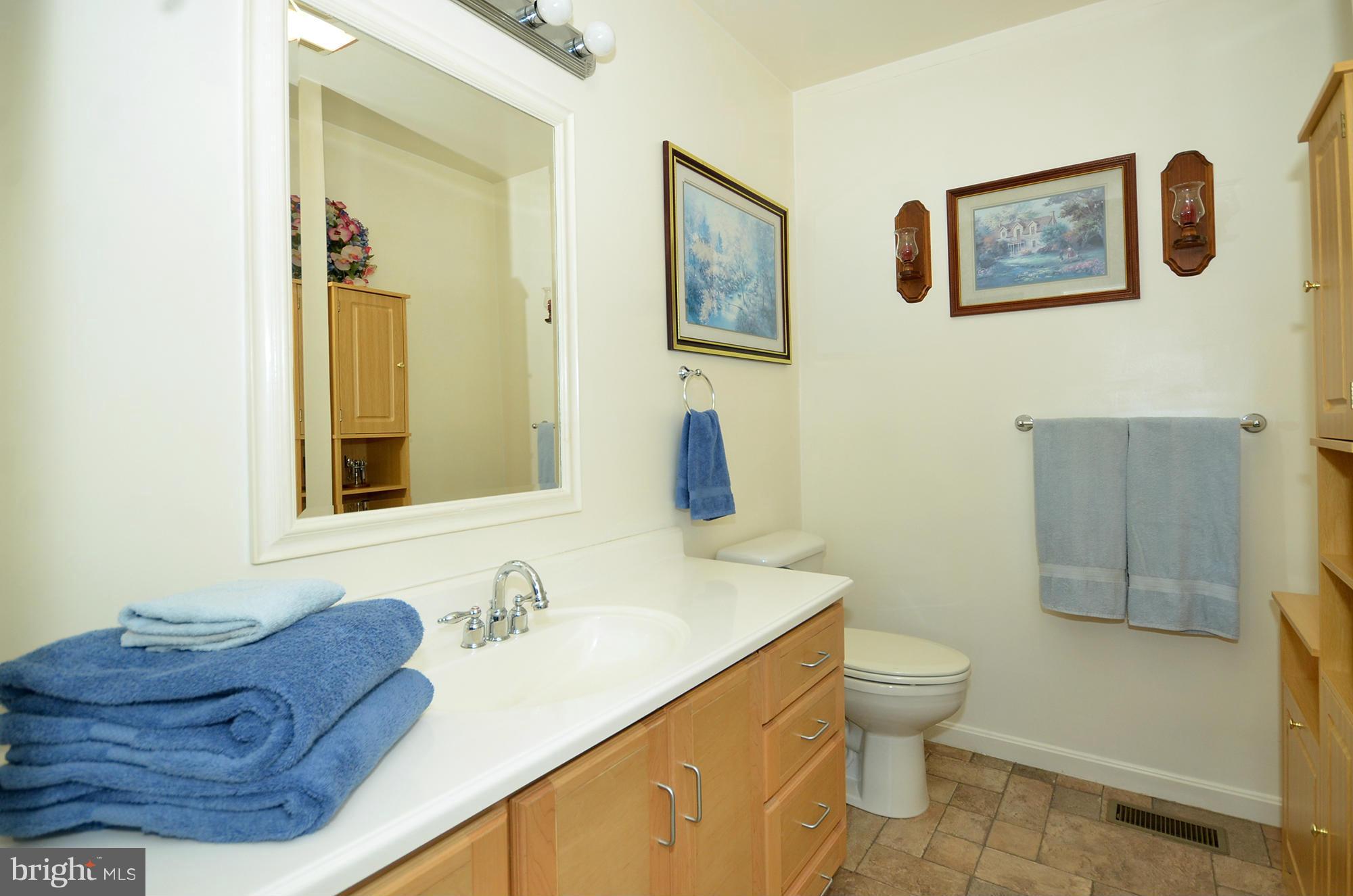 75 Kerr Lane Rising Sun, MD 21911 - Photo 22 of 30 Master bath w/ custom cabinetry