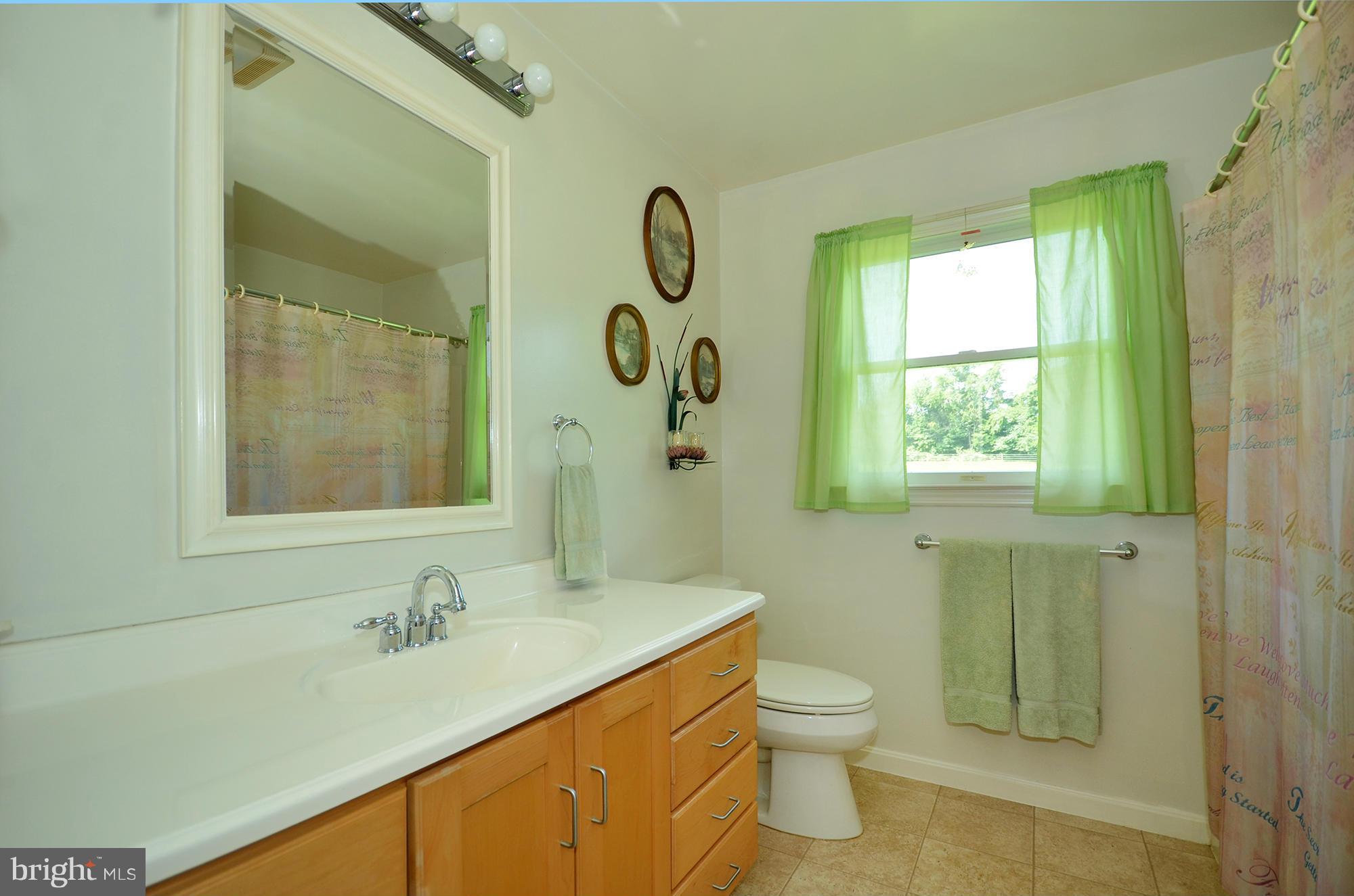 75 Kerr Lane Rising Sun, MD 21911 - Photo 25 of 30 Hall bath with custom cabinetry