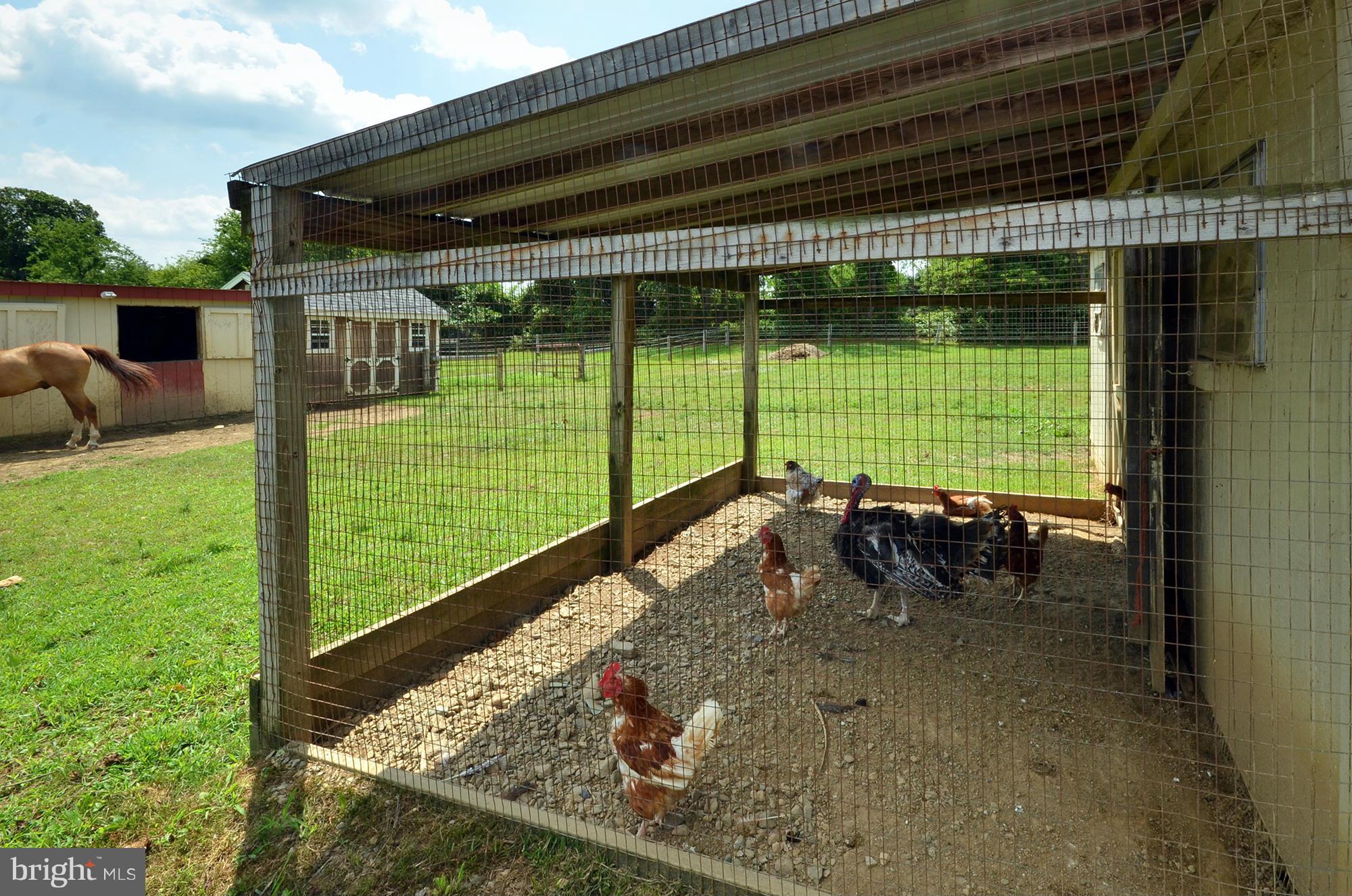 75 Kerr Lane Rising Sun, MD 21911 - Photo 6 of 30 Poultry Coop
