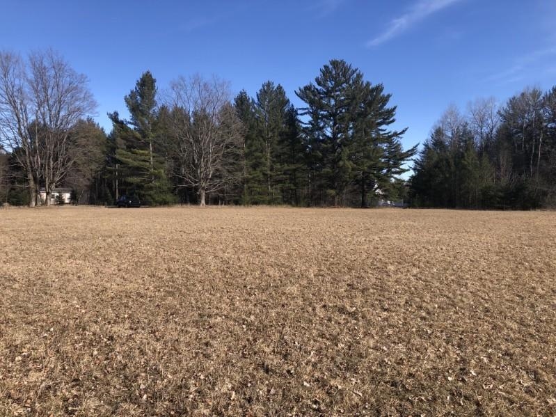 Kings Corner Road Mikado, MI 48745 - Photo 4 of 6