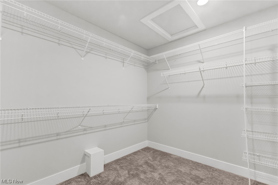 812 Ford Road Cleveland, OH 44143 - Photo 14 of 20 huge master closet