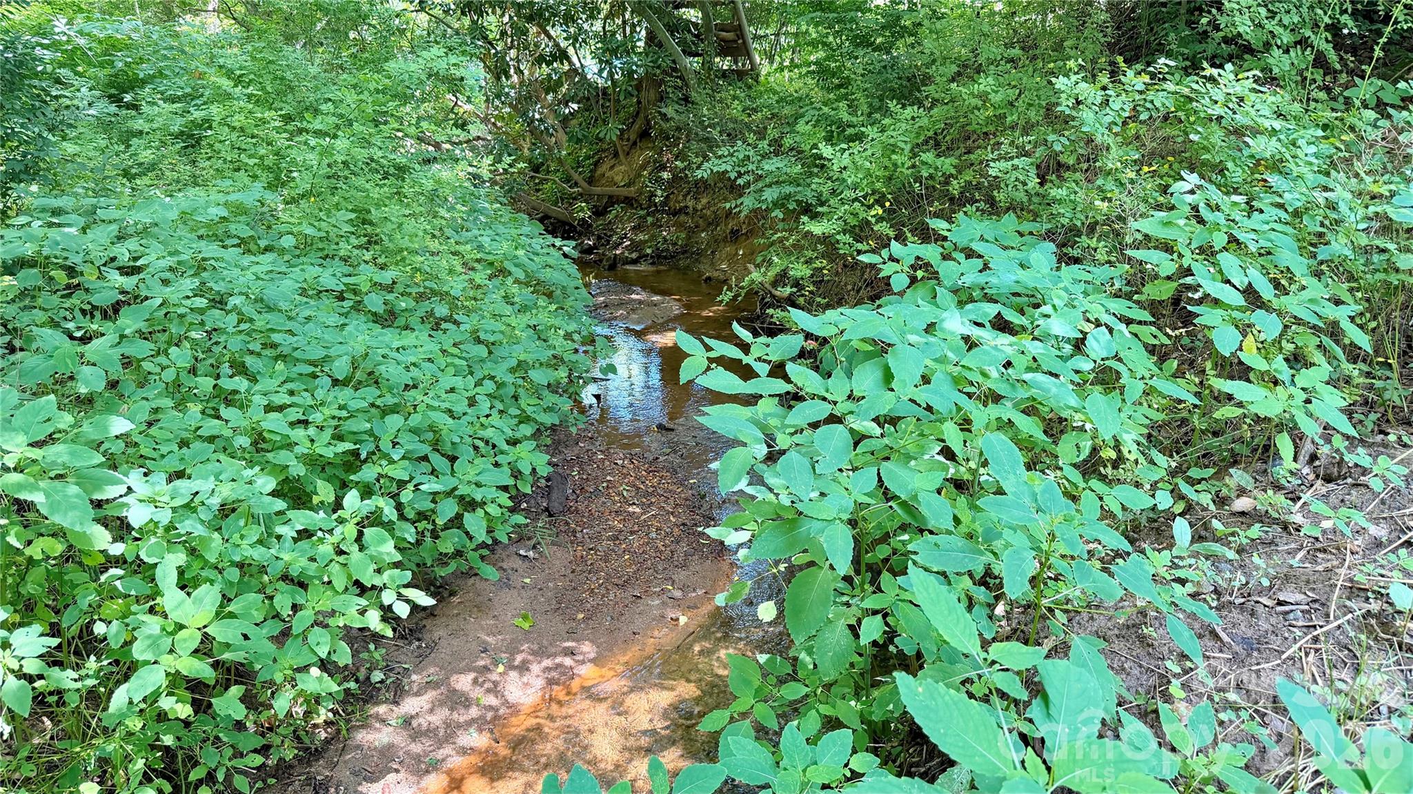 404 Blue Ridge Road Black Mountain, NC 28711 - Photo 7 of 9