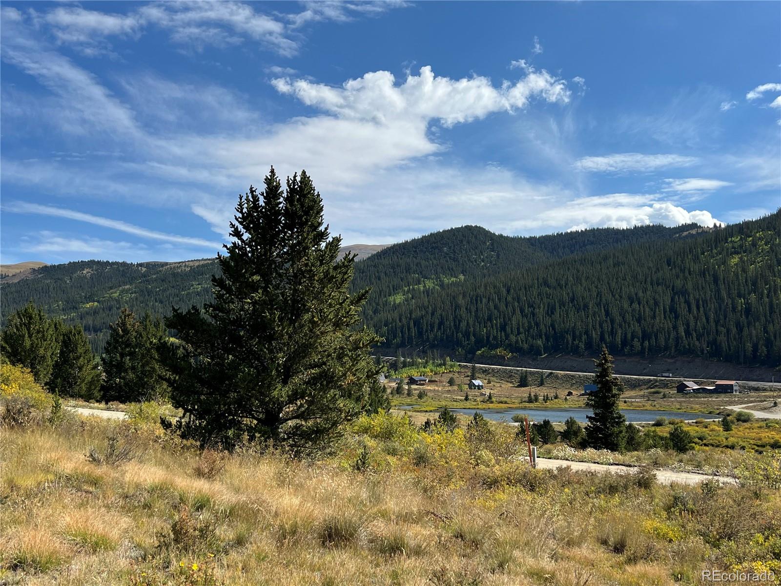 141 Quartzville Road Alma, CO 80420 - Photo 6 of 24