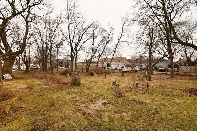 11014 Front Street Mokena, IL 60448 - Photo 3 of 5 a view of yard with trees