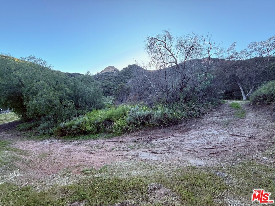23629 Zuniga Road Topanga, CA 90290 - Photo 15 of 21