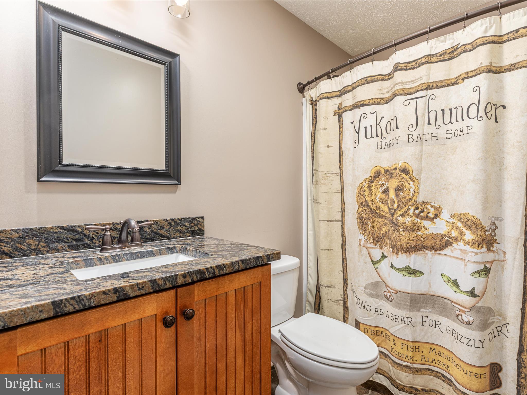 1996 Buck Mountain Road Bentonville, VA 22610 - Photo 23 of 61 a bathroom with a granite countertop sink mirror vanity and toilet