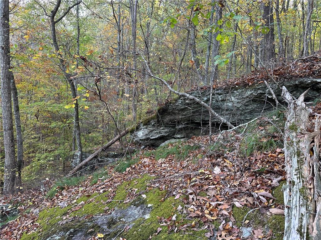 1806 Browning Road Rockmart, GA 30153 - Photo 84 of 97