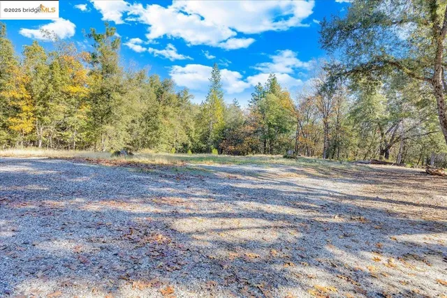 a view of outdoor space with trees all around