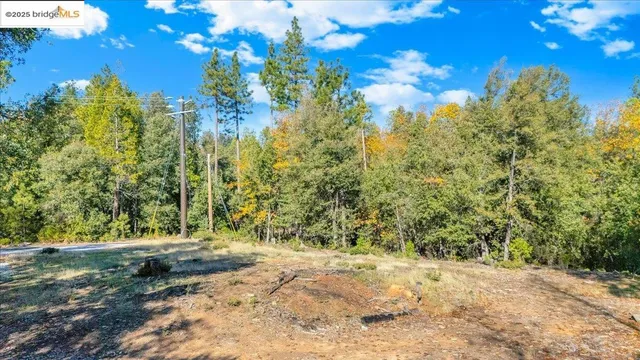 a view of a yard with a tree
