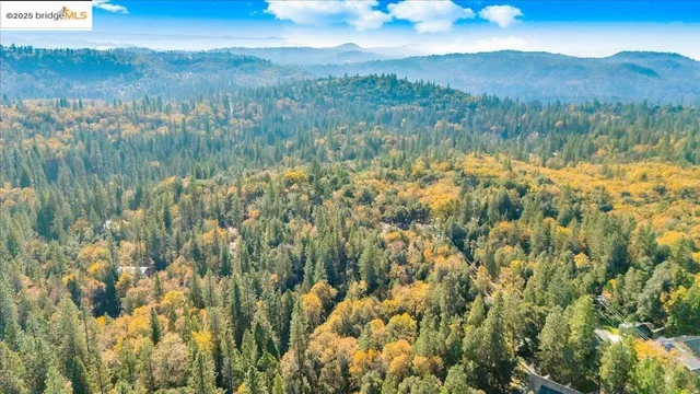 a view of a dry yard with wooden fence