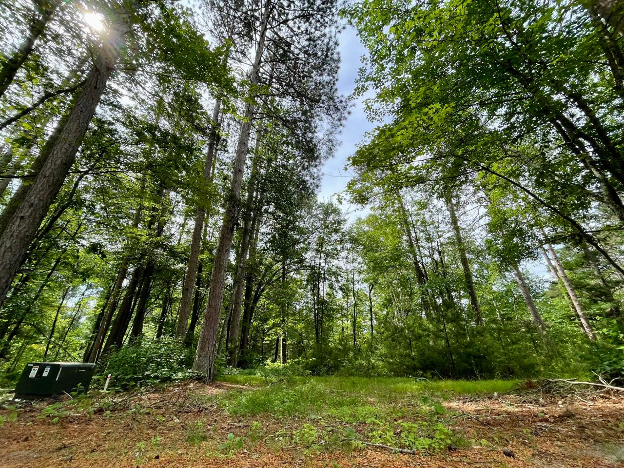 On Selmer Road, Unit LOT 18 Tomahawk, WI 54487 - Photo 3 of 8 Gallery Image 3