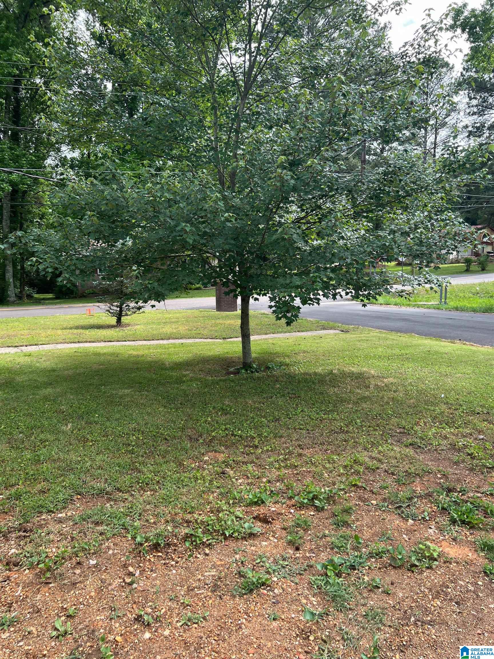 2301 3rd Way Birmingham, AL 35215 - Photo 4 of 18