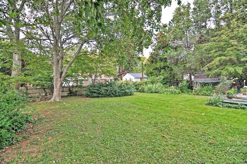 7 Rosedale Drive Bristol, RI 02809 - Photo 23 of 23 a view of a big yard with plants and large trees