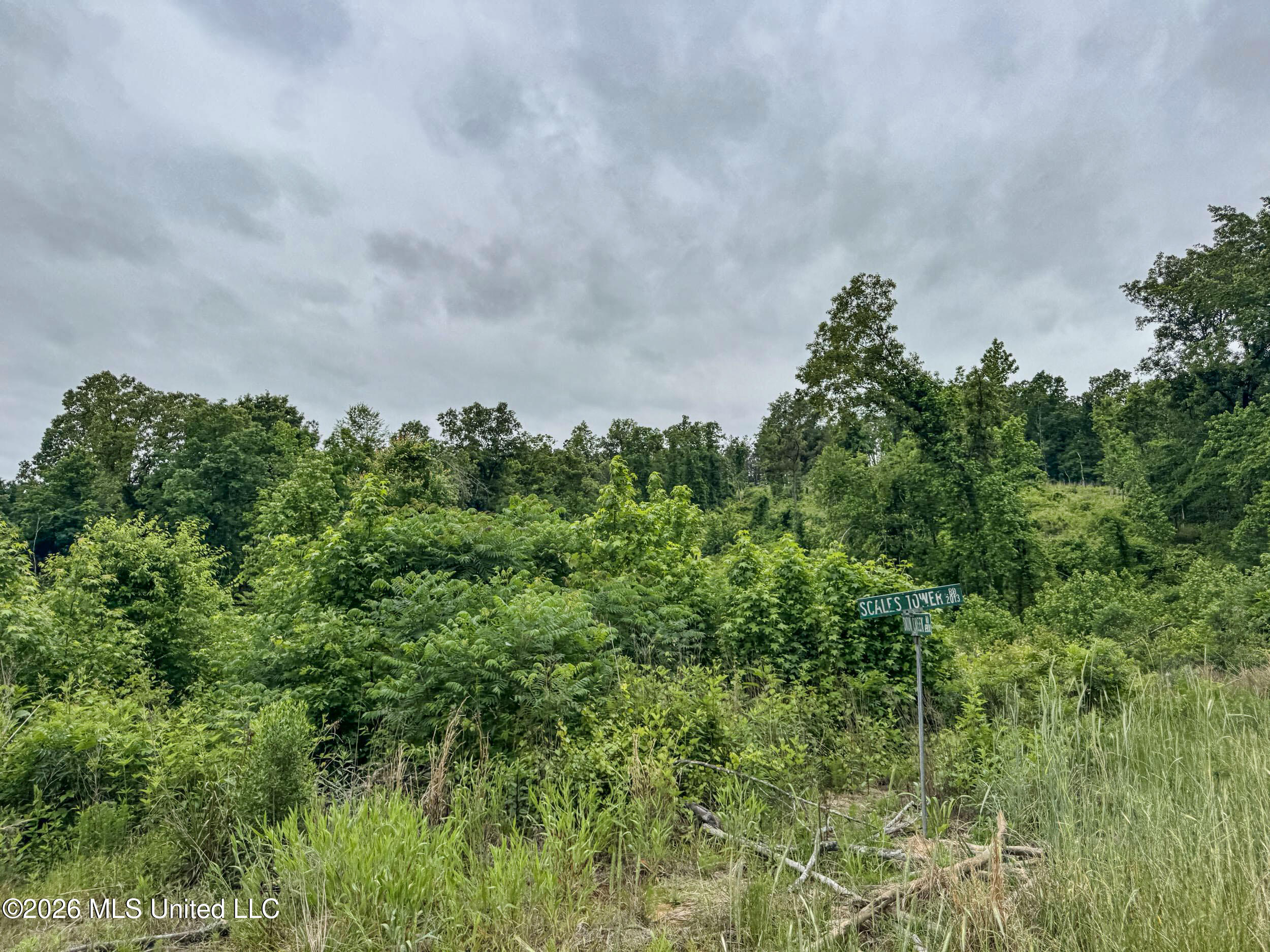 Wayne Massie Road Como, MS 38619 - Photo 131 of 184 5cdtbs72