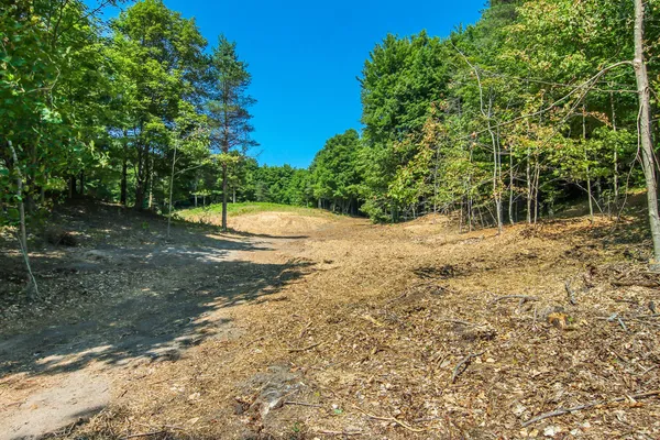 $550,000 | 0 Day Avenue, Frankfort, MI 49635