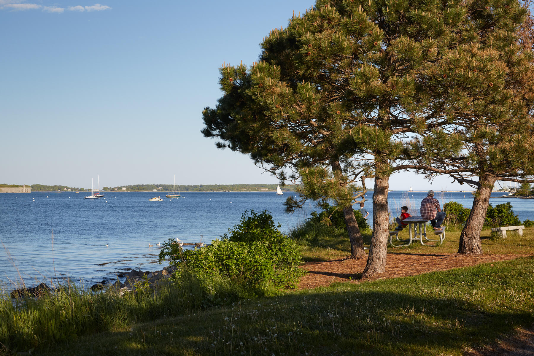 33 Turner Street Portland, ME 04101 - Photo 66 of 80 EasternProm7