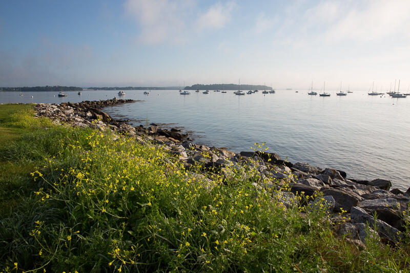 33 Turner Street Portland, ME 04101 - Photo 69 of 80 EasternProm12