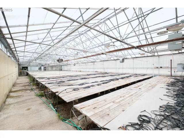 a view of backyard with a wooden deck