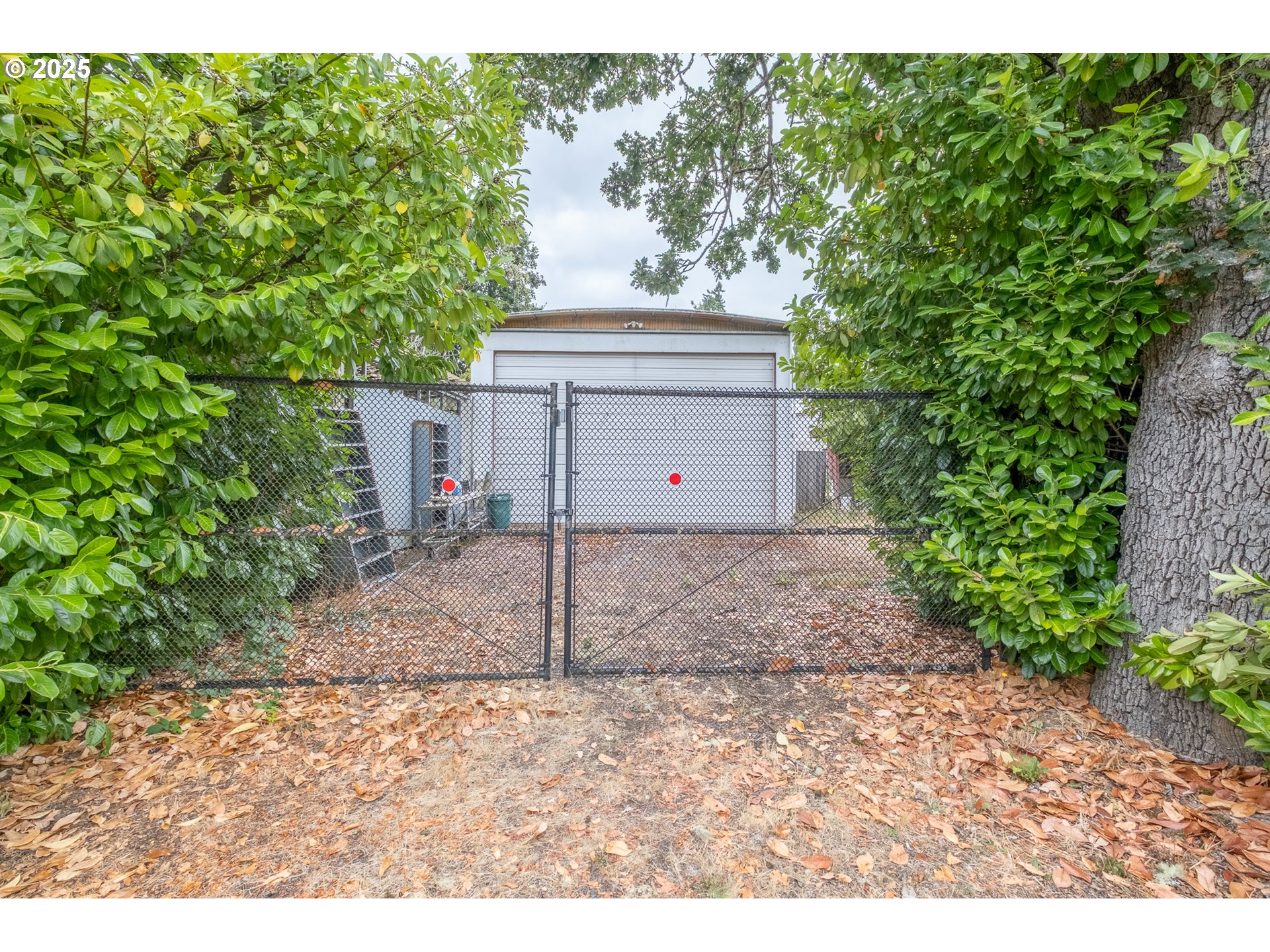 55 Q Street Cottage Grove, OR 97424 - Photo 29 of 36 a front view of a house with a yard and garage