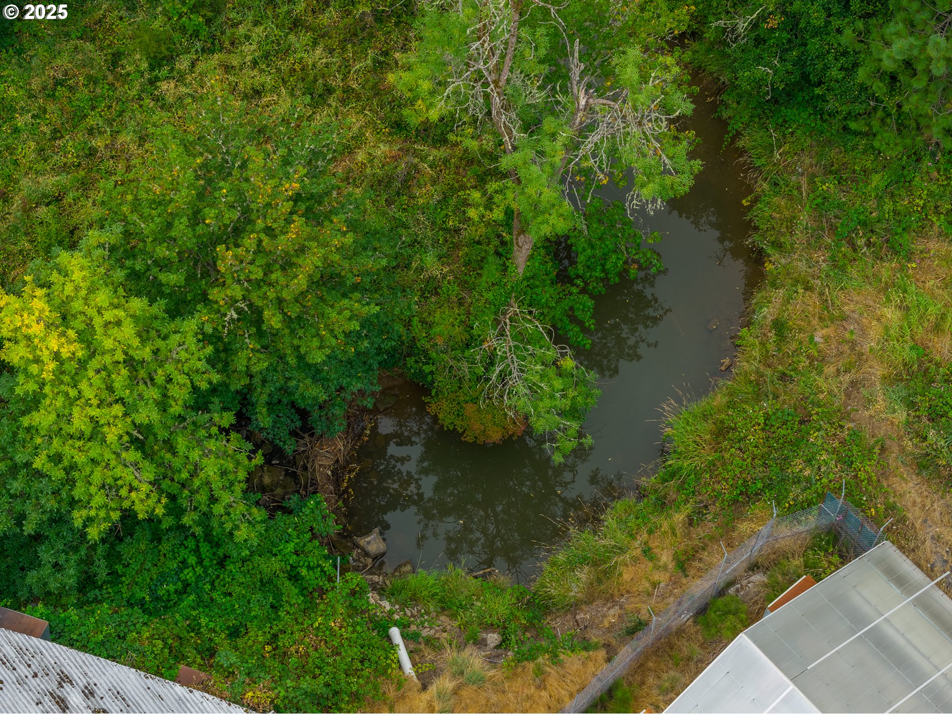 55 Q Street Cottage Grove, OR 97424 - Photo 6 of 36 a view of a garden