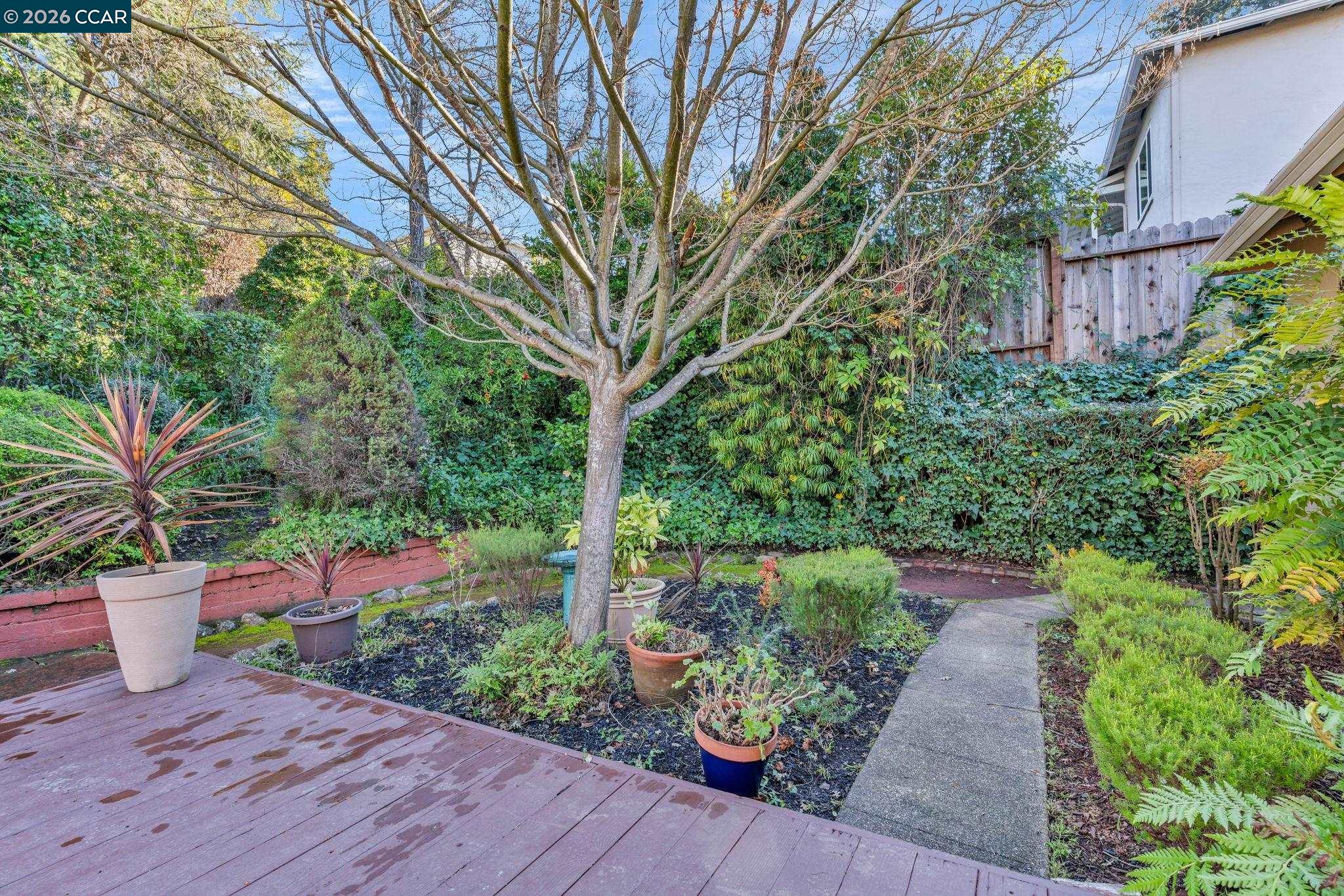 1978 Magnolia Way Walnut Creek, CA 94595 - Photo 31 of 38