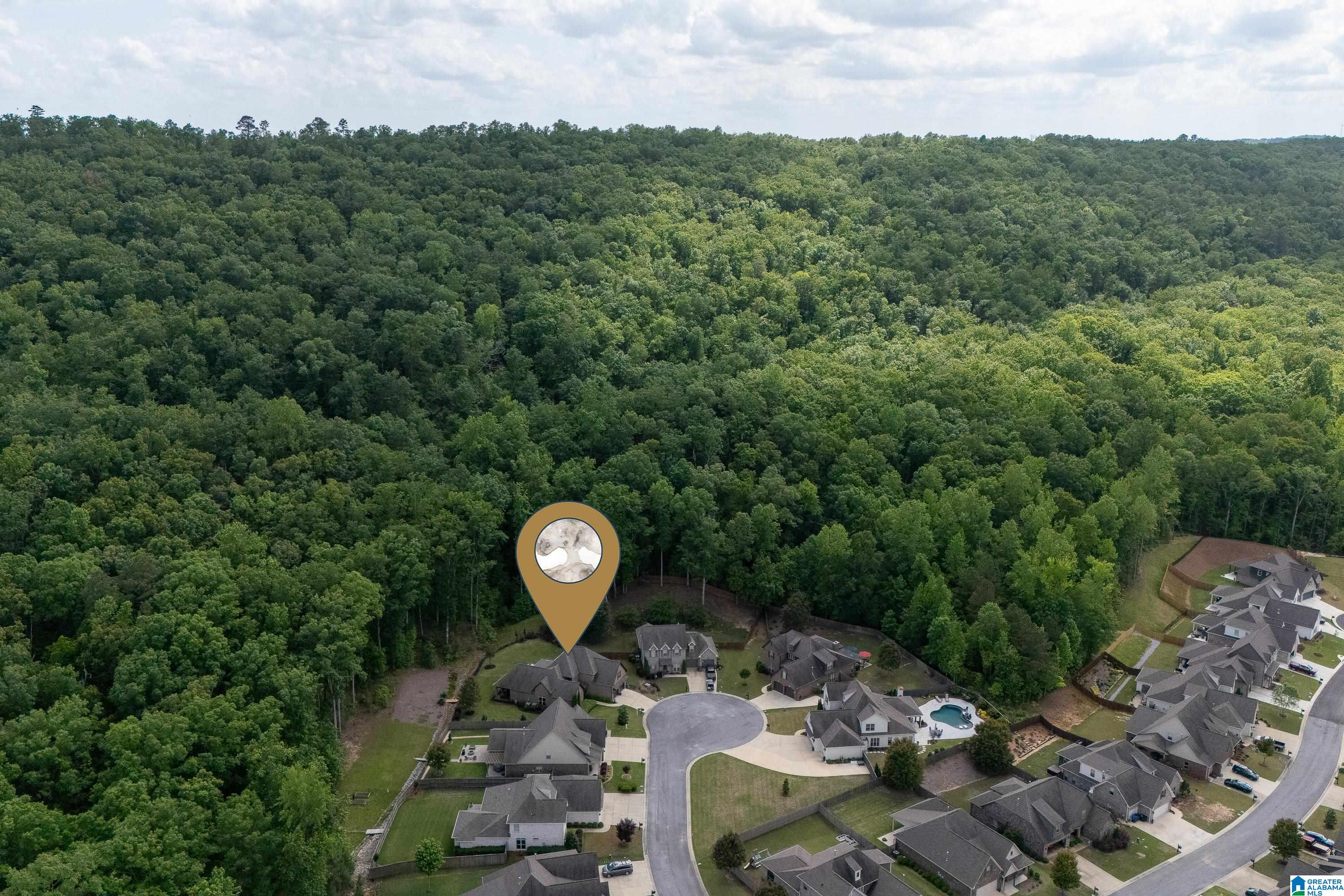 533 Kirkwall Circle Pelham, AL 35124 - Photo 54 of 59