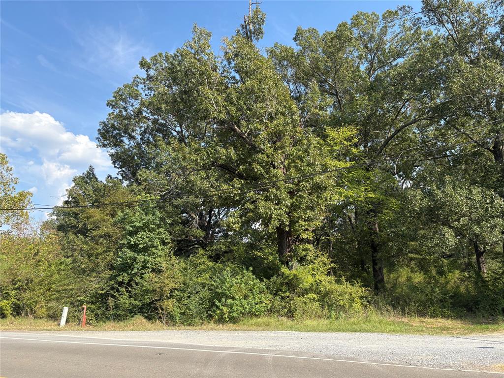 10497 Ferry Lake Road Oil City, LA 71061 - Photo 2 of 3 a view of a yard with a tree