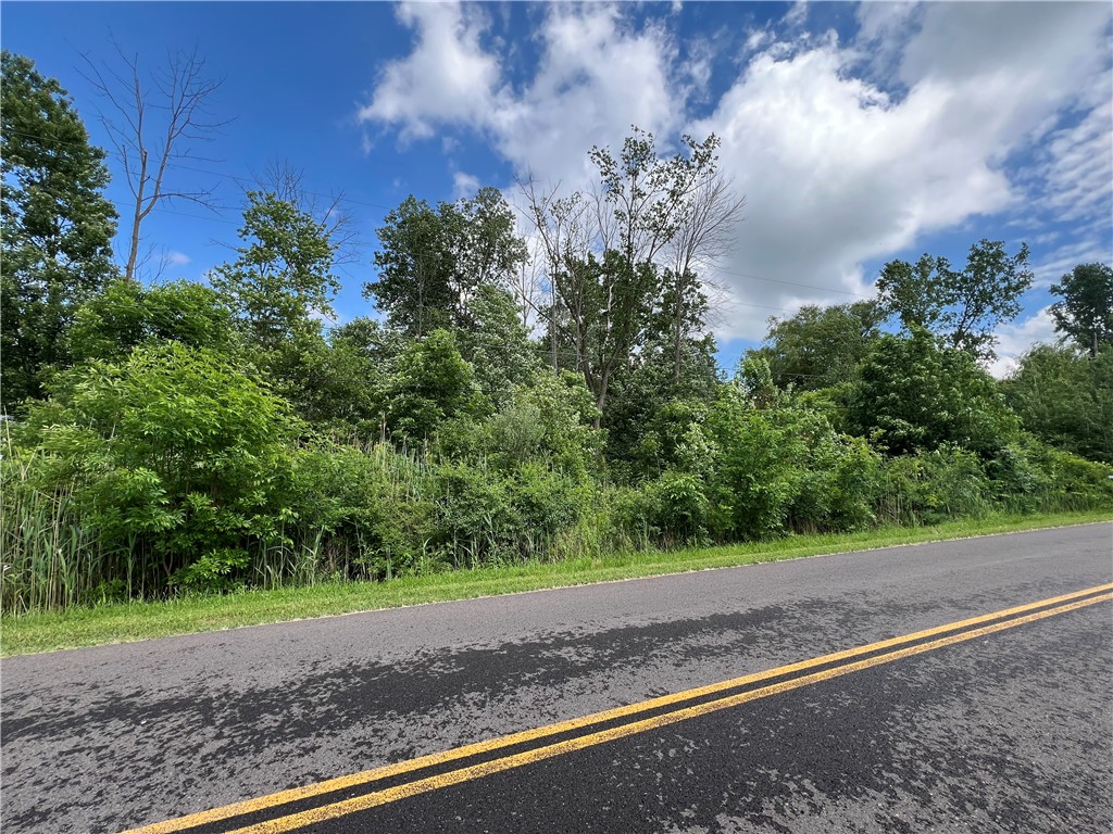 0 Blue Sky Road Waterloo, NY 13165 - Photo 2 of 10