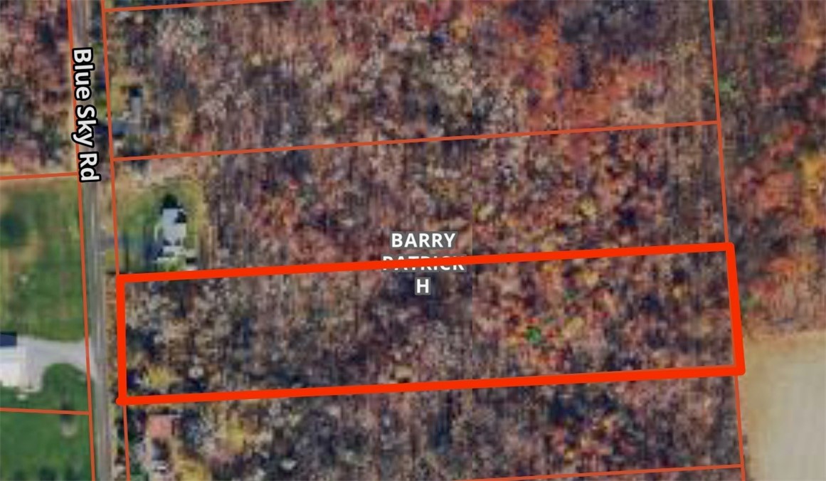 0 Blue Sky Road Waterloo, NY 13165 - Photo 3 of 10